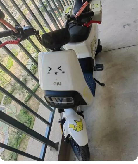 小牛G2电动车，个人一手，电池刚更换全新的...