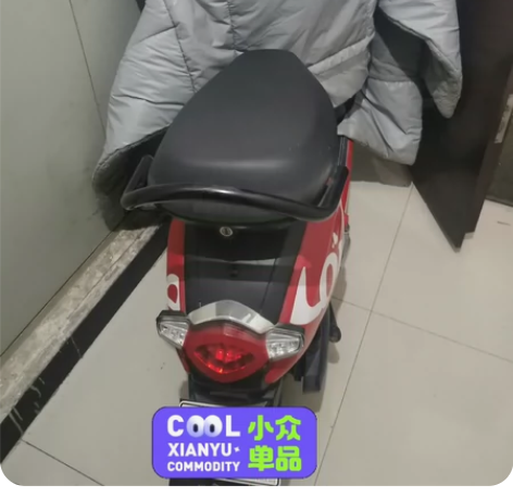 自己的电摩，48v21ah的，3月11号换...