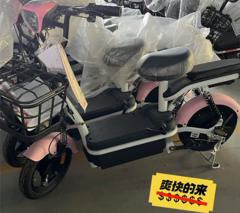 全新特价出售新国标电动车48V（超威富士达...