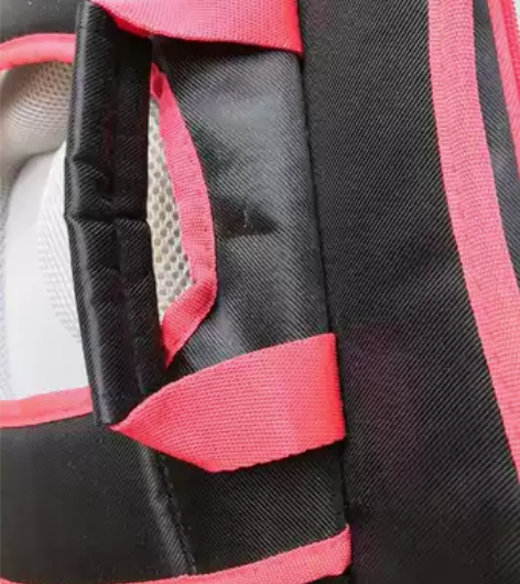 全新正品迪士尼书包，买时一百多。一次没背过...