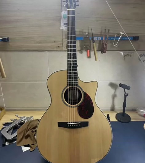 全新正品恩雅Enya Q1pro41寸GA...