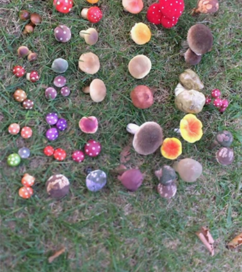 仿真蘑菇蔬菜水果摆件假蘑菇模型拍摄影道具橱...