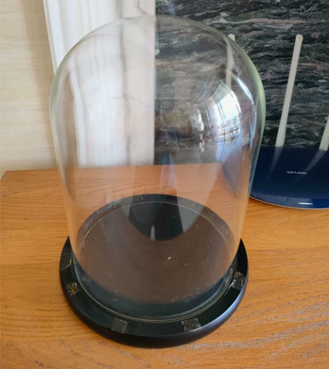 【转闲置】玻璃透明展示罩圆形家具摆件 家里...