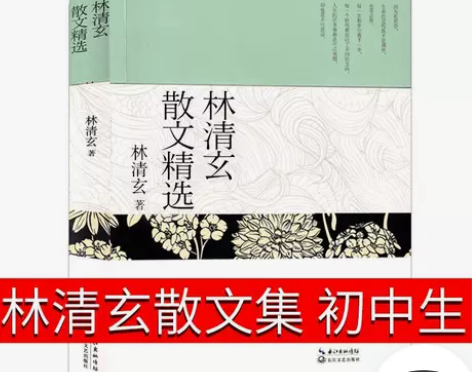林清玄散文集七年级版青少版书籍精选自选集散...