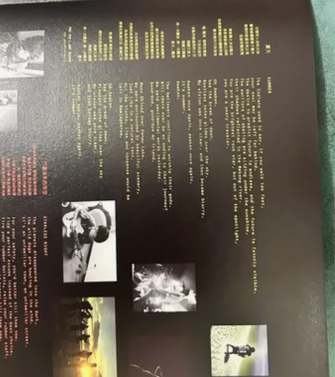 痛仰，愿爱无忧，黑胶唱片。12寸，双碟，黑...