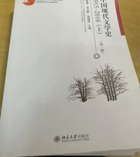 中国现代文学上册下册 朱栋霖主编 高校文科...