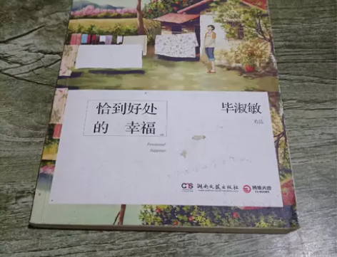 正版二手 恰到好处的幸福 毕淑敏  著湖南...