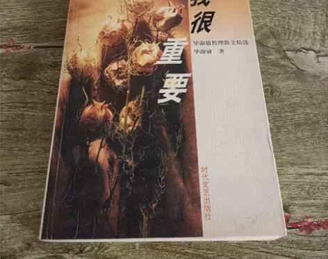 二手正版 我很重要：毕淑敏哲理散文精选 时...