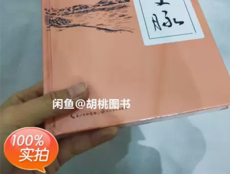 中国文脉 余秋雨 需要可以直接拍，24小时...