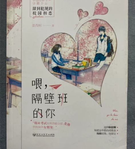 喂,隔壁班的你 墨西柯著 言情小说 校园初...