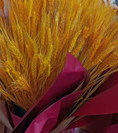 开业大麦花篮便宜出 30一个，共三个 三元...