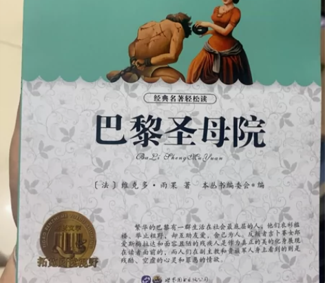 巴黎圣母院 淘宝买的，看完了想出，13元。...