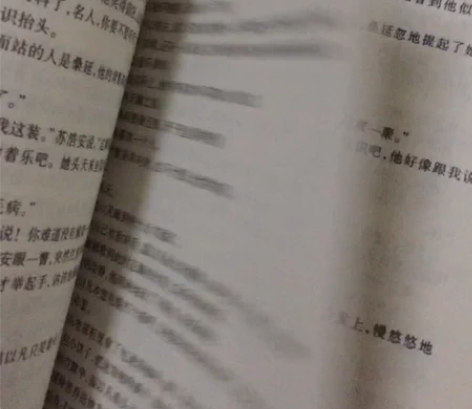 全新 品牌型号 ：傲视文学出版社 出全二册...