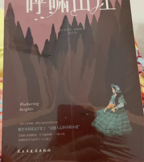 《呼啸山庄》全新正版，未拆封，京东购买，2...