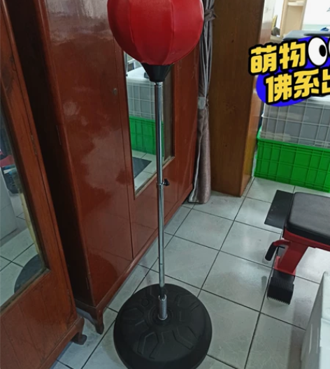 家用拳击套装，全新，底盘可装水，沙子等等。...