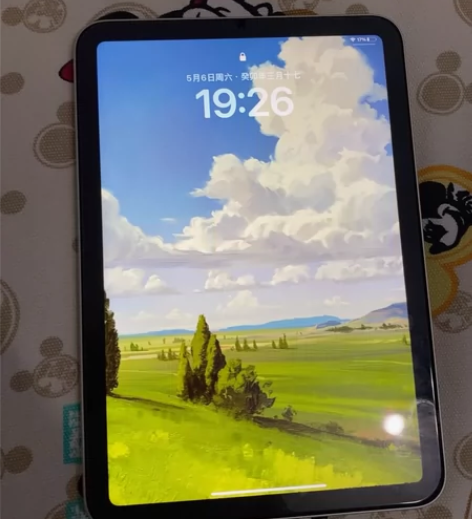 苹果mini6 星光256g  98新过保...