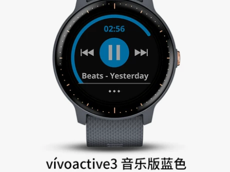 Garmin佳明vivoactive3 运...