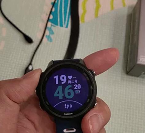 Garmin佳明Forerunner245...