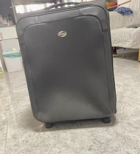 拉杆箱，目测20寸，深灰色，八五成新 自提...