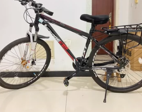 永久山地车自行车27/30变速油碟刹男女式...