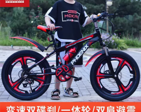 凤凰自行车 儿童18寸以上男孩6-10岁中...