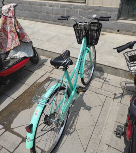 亏本出永久飞鸽同款自行车学生成人男女轻便通勤代步 凤凰永久飞... 亏本出永久飞鸽同款自行车学生成人男女轻便通勤代步 凤凰永久飞...