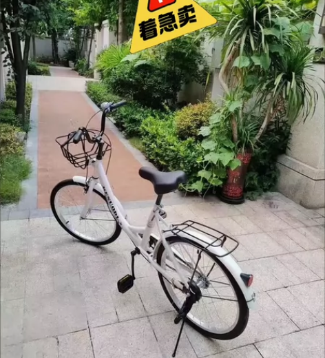 包邮【 通勤女士自行车】女士高颜值自行车成...