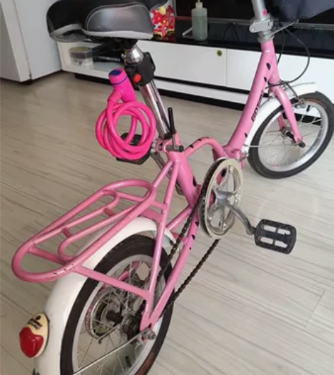 金泰美14寸折叠自行车，专卖店买的一手车。...