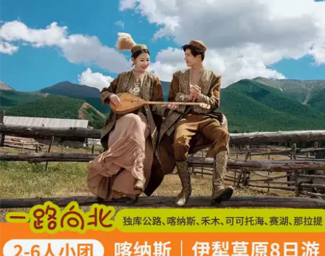 2-6人小团拼车|新疆旅游北疆大环线喀纳斯...