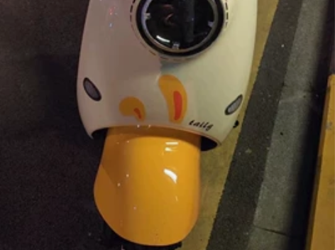 小姐姐一手台铃电动车 台铃萌苏电动车95新...