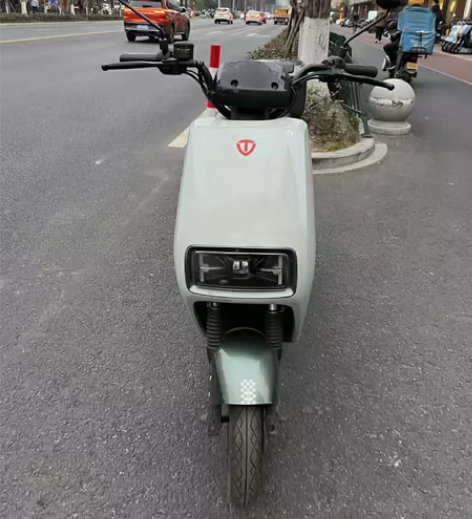 98新台铃电动车，非常漂亮，成色嘎嘎新，高...