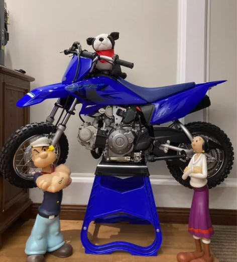 全新雅马哈ttr50，没有骑过，家里当摆件...