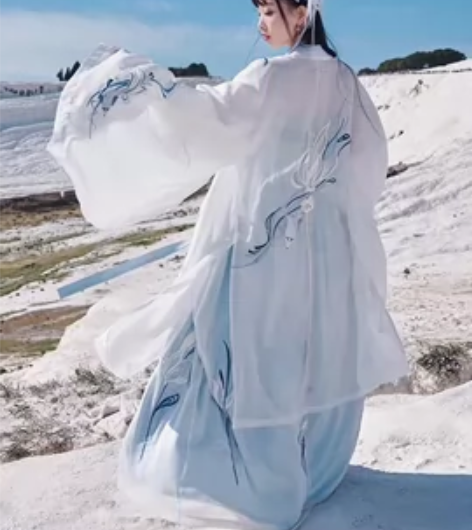 十三余木野狐,大全套,大袖衫加上襦加齐胸襦...