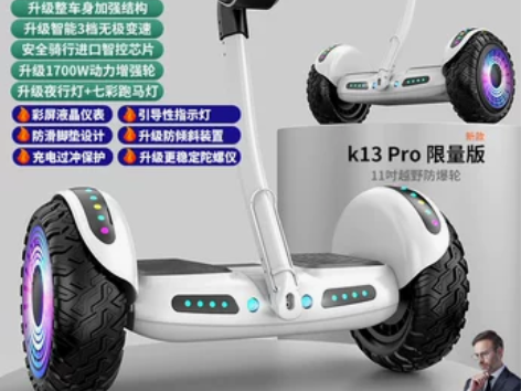 德国ZOLA官方旗舰店2022新款平衡车智...