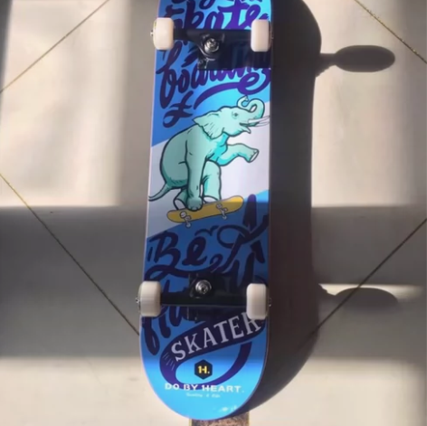 DBH王一博同款双翘专业板，9成新 感兴趣...