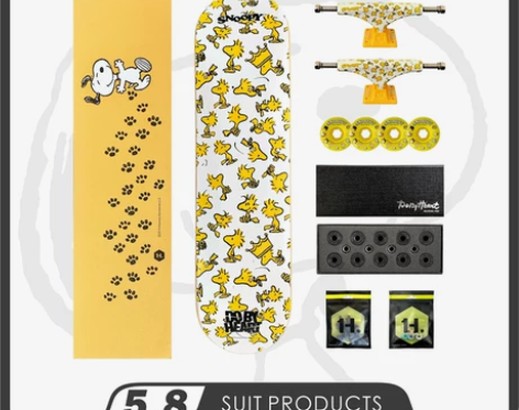 DBH滑板四轮动作专业双翘板男女生成人初学...