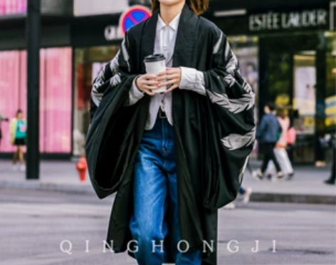 玄凰·银羽 清泓记原创设计银线刺绣明制大袖...