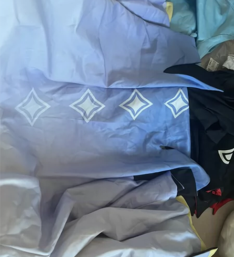 光遇白鸟斗加武士裤，衣服状态不太好，所以低...