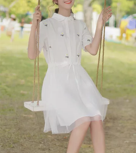 全新，转卖，仙女连衣裙 连衣裙与图片一致 ...