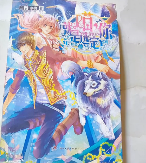 带插画校园小说 哈哈，陪伴我整个初中的小说...