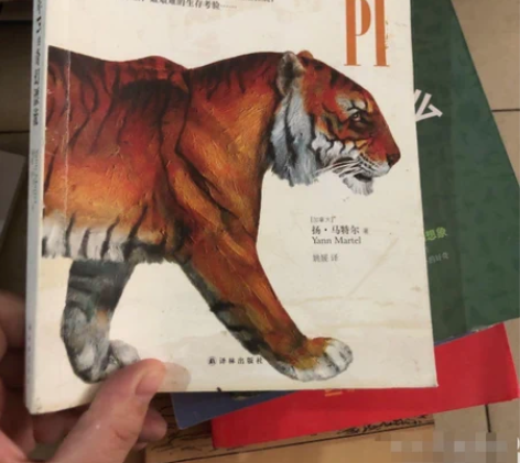 正版二手 少年Pi的奇幻漂流（插图珍藏版）...