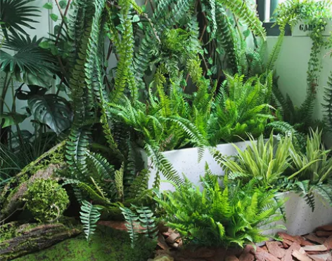 饰品装饰装饰仿真波斯厥叶蕨类植物假花草绿色...