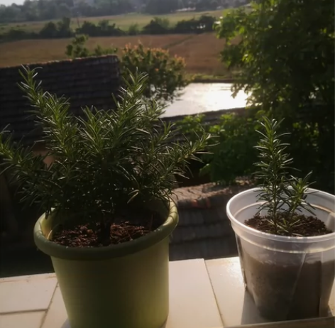 游戏账号 感兴趣的话点“我想要”和我私聊吧...