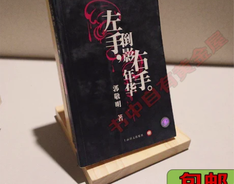 正版二手左手倒影，右手年华 郭敬明 上海译...