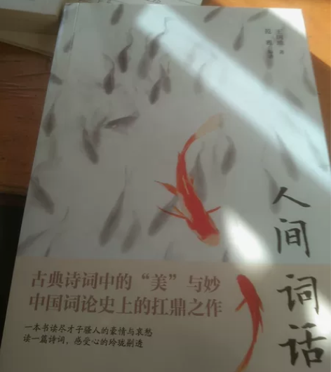 人间词话，完全全新，不感兴趣，别人送的 没...