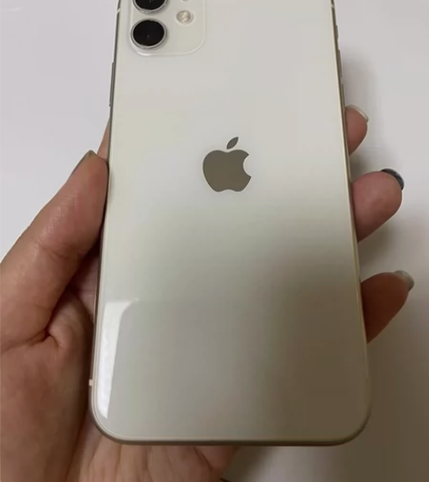 iPhone/苹果 国行iPhone 11...