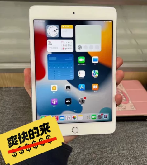 闲置出女大学生自用iPadmini 4款1...