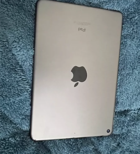 iPad mini5 2019款256 平...