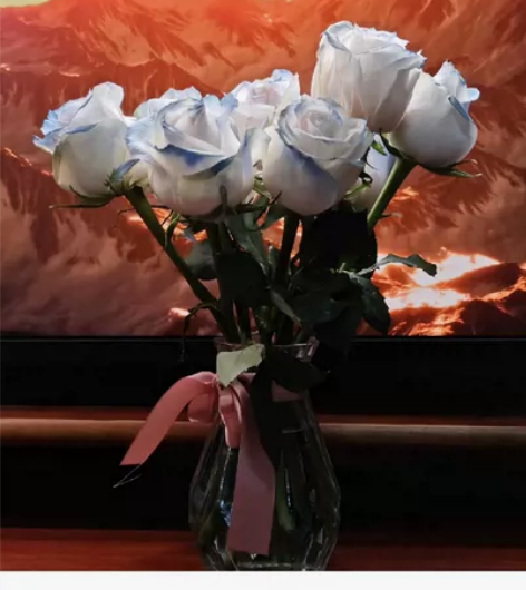 小米13pro 12+512 基本全新 陶...