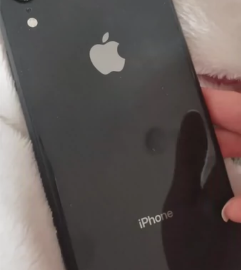 苹果xr64g美版 不知道为什么亮屏有点黄...